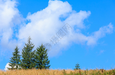 美丽的蓝色天空白的积云山丘上的夏季图片