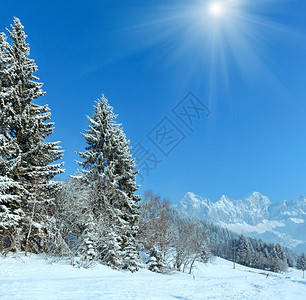 寒冬森林里的山地景色图片