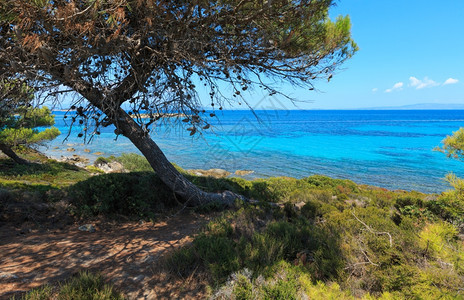 爱琴海岸景观Karidi海滩附近希腊迦勒基迪的风景图片