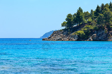 夏季爱琴海岸风景与松树迦勒基迪希腊图片