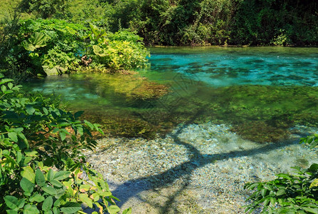 蓝眼泉水有清晰的夏季水景靠近阿尔巴尼亚Vlore县的Muzine图片
