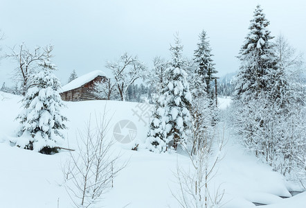 乌克兰喀尔巴阡山冬季坡上的雪地和木屋布罗克图片