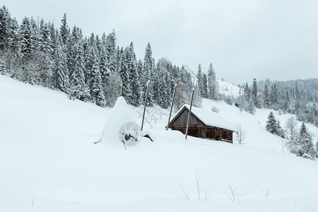 乌克兰喀尔巴阡山脉坡上的雪地下图片