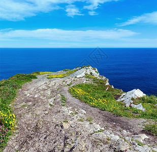 夏季开花CaboVidio海岸景观阿斯图里亚库迪列罗西班牙图片