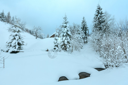 乌克兰喀尔巴阡山冬季坡上的雪地和木屋布罗克图片