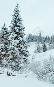 冬季降雪喀尔巴阡山的风景加上雪树图片