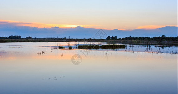 日落的夏季湖泊风景太阳反射到水面Shklo定居点附近乌克兰利沃夫州图片