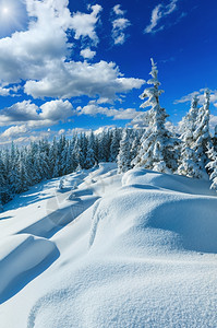 冬季雪上的漂覆盖山边阳光明的山顶上有林图片