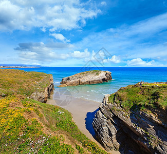 盛开的坎塔布里奇海岸夏季景观西班牙加利西亚卢戈大教堂海滩蓝天白云图片