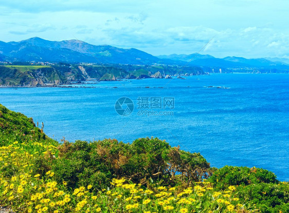 Vidio角夏季海岸景观前面有黄色花朵AstriasCudillero西班牙图片