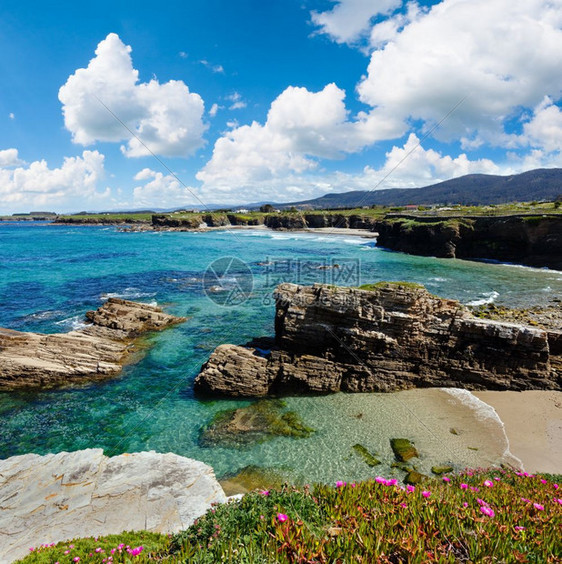夏季开花的大西洋海岸风景有粉红色花朵和三个海滩西班牙图片