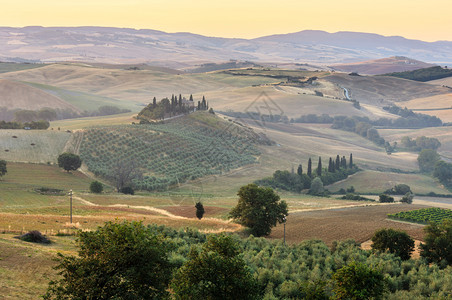 意大利Toscany夏季清晨日出农村地区美丽的景色托斯卡纳地区典型的农场山丘小麦田橄榄园葡萄图片