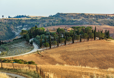 托斯卡纳的美丽景色夏季早上在比恩扎城墙的农村地区意大利托斯卡纳地区典型的农场山丘小麦田橄榄园葡萄铁丝网通行证图片