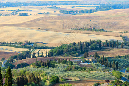 托斯卡纳夏季清晨美丽的景色位于皮恩扎城墙的乡村典型意大利地区托斯卡纳农场山丘小麦田橄榄园葡萄西普雷斯通行证图片