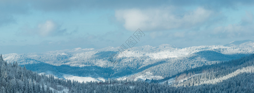 喀尔巴阡山冬季全景,斜坡上有森林(斯科莱、利沃夫州,乌克兰)两缝合高分辨率全景。图片