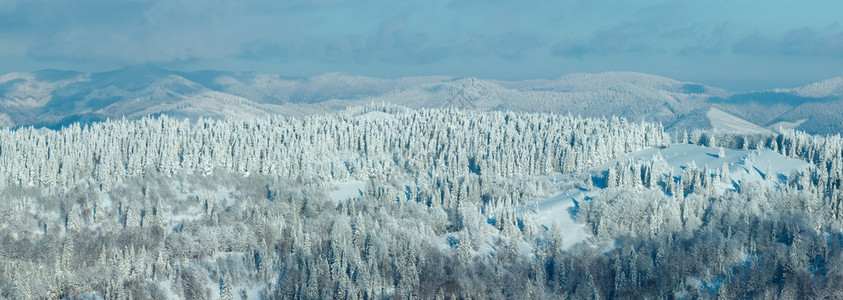 喀尔巴阡山冬季风景和坡上的森林(斯科莱、利沃夫州乌克兰),两缝合高分辨率全景。图片