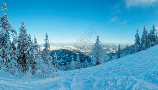 冬季山坡(斯科莱、利沃夫州喀尔巴阡山脉乌克兰)首个日落阴影,三缝合高分辨率全景。图片