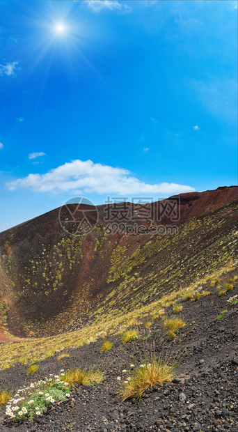 夏日阳光下etna火山洞的花朵和植物意大利西里四针缝合图象高清图片下载 正版图片 摄图网 夏日阳光下etna火山洞的花朵和植物意大利西里四针缝合图象高清图片下载 正版图片 摄图网