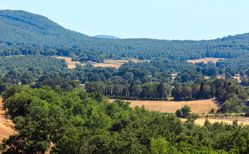 美丽的夏季乡村风景山丘小麦田茶壶和森林图片