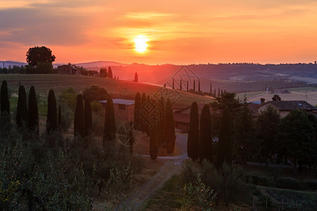 意大利Toscany夏季清晨日出农村地区美丽的景色托斯卡纳地区典型的农场山丘小麦田橄榄园葡萄图片