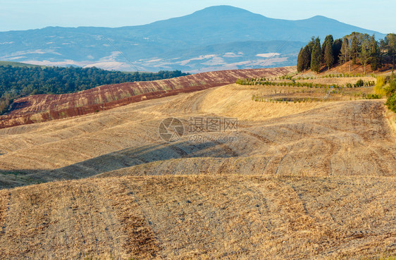 夏天清晨美丽的景色在意大利日出的乡村山丘和小麦田图片