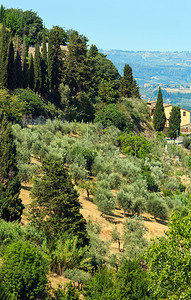 位于皮恩扎城墙的托斯卡纳夏季乡村美丽的景色意大利地区托斯卡纳山橄榄园葡萄铁丝网的典型景象图片