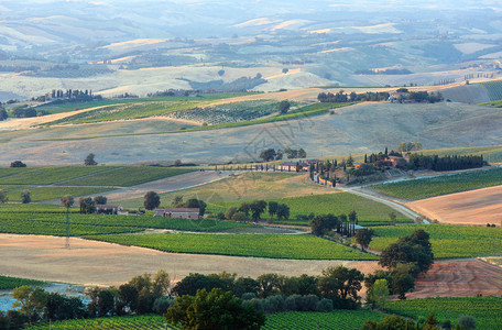 托斯卡纳夏季清晨日出农村地区美丽的景色在意大利托斯卡纳山小麦田橄榄园葡萄等地区典型图片