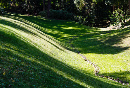 草坪上完美的绿被设计为夏日公园空洞背景图片