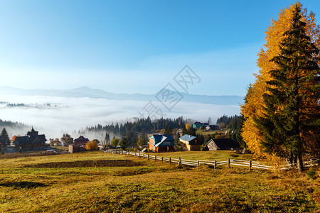 喀尔巴阡山脉乌克兰伊凡诺弗基夫斯克州亚布卢尼西村山坡的早雾图片