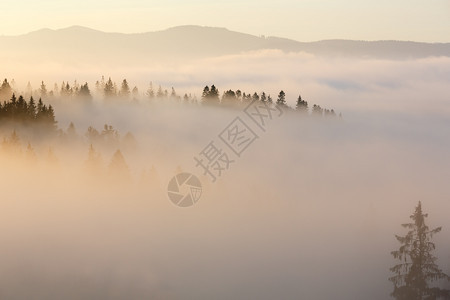 喀尔巴阡山坡乌克兰伊瓦诺弗基夫斯克州的早雾图片