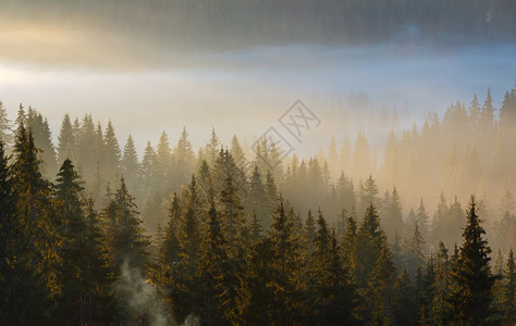 在喀尔巴阡山脉乌克兰伊凡诺弗基夫斯克州亚布卢尼西村和过道秋季山坡上早起雾第一次清晨阳光照耀乌克兰伊凡诺弗基夫斯克州图片