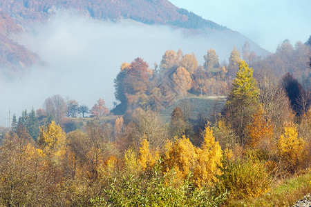 秋天喀尔巴阡山地貌坡上有多色树木和小村庄上面有雾拉希夫区乌克兰Transcarpathia图片