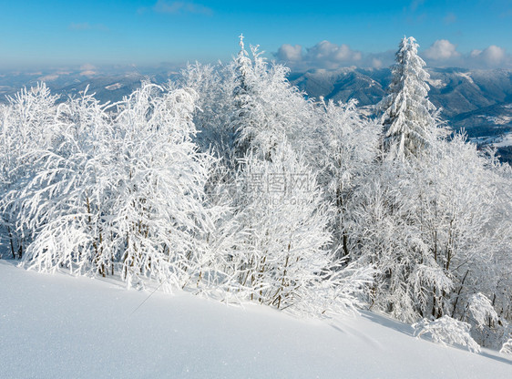 冬季平静的山地景观坡上有美丽的霜冻树木和滑雪乌克兰喀尔巴阡山图片