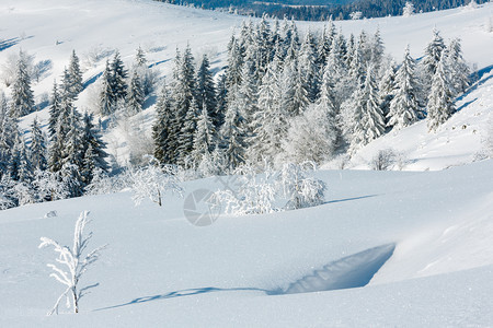 冬季平静的山地景观坡上有美丽的霜冻树木和滑雪乌克兰喀尔巴阡山图片