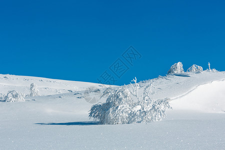 冬季平静的山地景观坡上有美丽的霜冻树木和滑雪乌克兰喀尔巴阡山图片