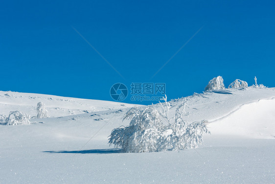 冬季平静的山地景观坡上有美丽的霜冻树木和滑雪乌克兰喀尔巴阡山图片