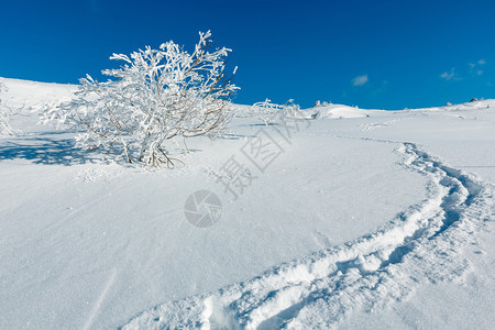 冬季平静的山地景观坡上有美丽的霜冻树木和山坡道穿过上的雪流喀尔巴阡山乌克兰图片