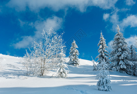 冬季平静的山地景观坡上有美丽的霜冻树木和山坡道穿过上的雪流喀尔巴阡山乌克兰图片