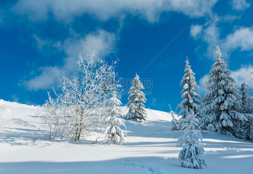 冬季平静的山地景观坡上有美丽的霜冻树木和山坡道穿过上的雪流喀尔巴阡山乌克兰图片