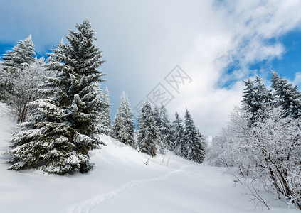 冬季平静的山地景观坡上有美丽的霜冻树木和山坡道穿过上的雪流喀尔巴阡山乌克兰图片