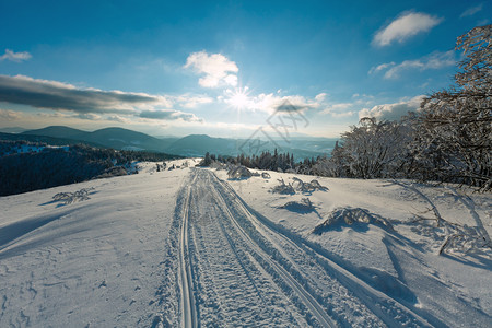 冬季傍晚阳光明夏夜平静的山地景观坡上有美丽的霜冻树脚条和滑雪跑道穿过地滑乌克兰喀尔巴阡山图片