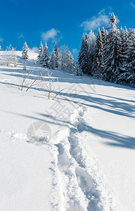冬季平静的山地景观坡上有美丽的霜冻树木和山坡道穿过上的雪流喀尔巴阡山乌克兰图片