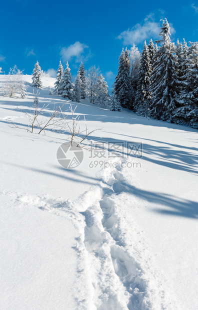 冬季平静的山地景观坡上有美丽的霜冻树木和山坡道穿过上的雪流喀尔巴阡山乌克兰图片