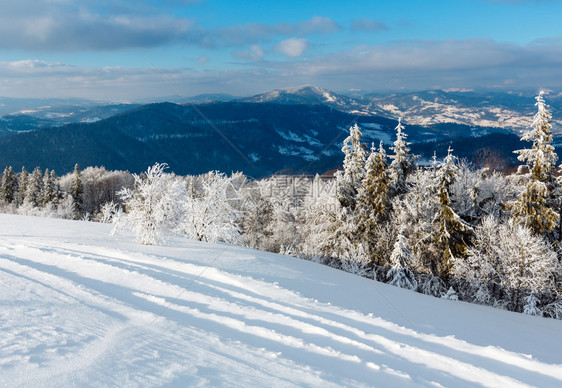 上午清晨冬季平静的山地景观坡上有美丽的霜冻树木和滑雪跑道穿过山坡上的雪地漂流乌克兰喀尔巴阡山图片