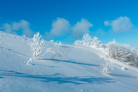 清晨冬季平静的山地景观坡上有美丽的霜冻树木和雪地滑乌克兰喀尔巴阡山图片