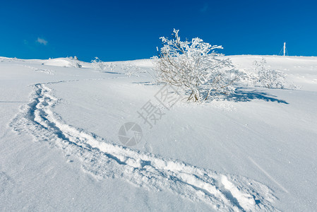 蓝色天空背景的山坡上滑雪喀尔巴阡山乌克兰图片