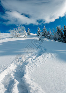 冬季山区雪地景观冬季平静的山地景观坡上有美丽的霜冻树木和脚足迹穿过山坡上的雪田喀尔巴阡山乌克兰图片