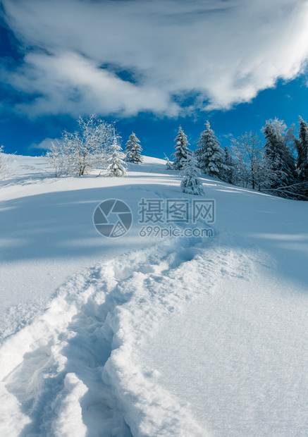 冬季山区雪地景观冬季平静的山地景观坡上有美丽的霜冻树木和脚足迹穿过山坡上的雪田喀尔巴阡山乌克兰图片