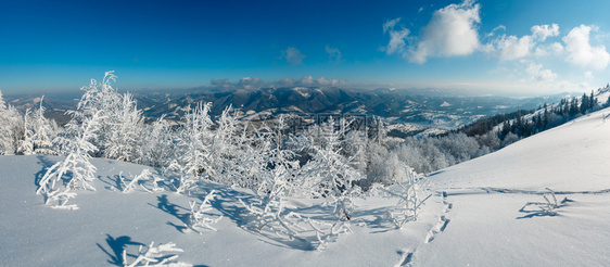 喀尔巴阡山冬季的雪景观图片