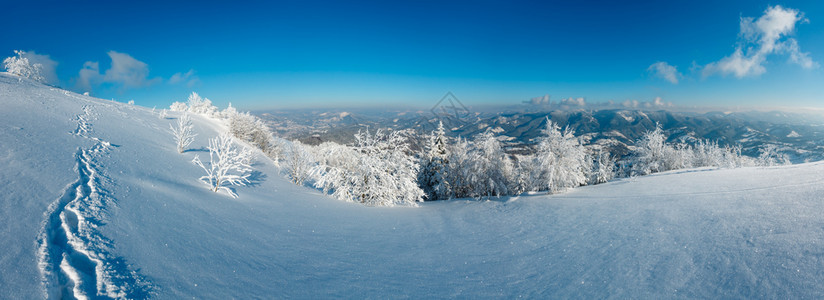 清晨冬季寒冷的山地风景坡上有美丽的霜冻树木和山脚足迹穿过雪轨喀尔巴阡山乌克兰图片